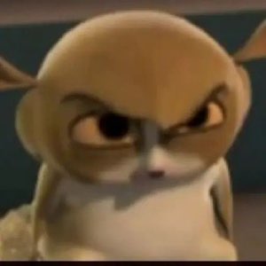 Animated bunny scowling with a furious, narrowed glare