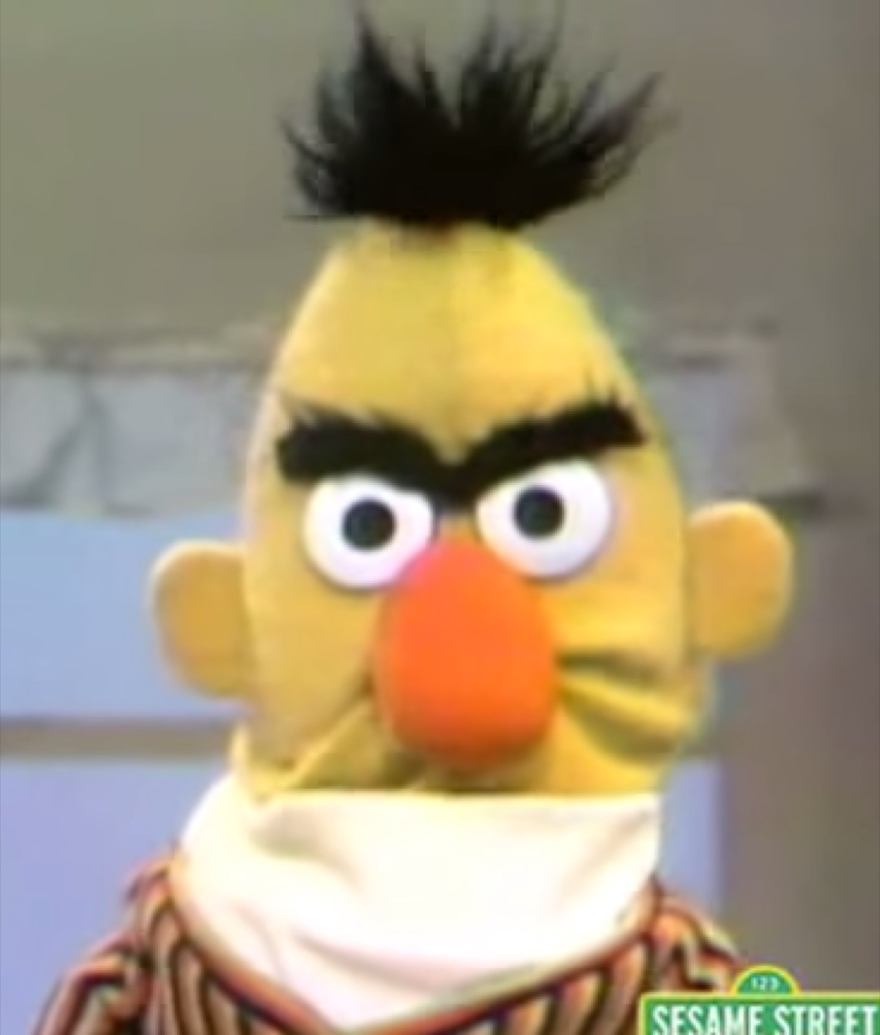 Bert from Sesame Street staring at you with unmistakable contempt and a deep scowl