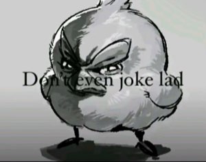 Grumpy sketch of a chubby angry bird glaring, captioned 'Don't even joke lad'
