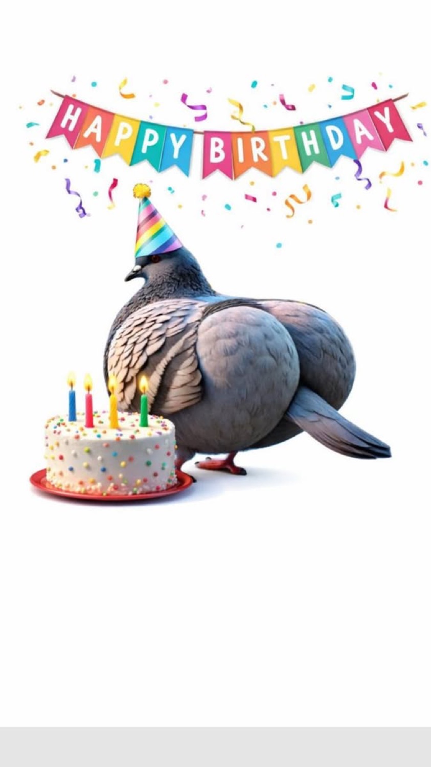 Fat pigeon in a party hat next to a birthday cake under a HAPPY BIRTHDAY banner
