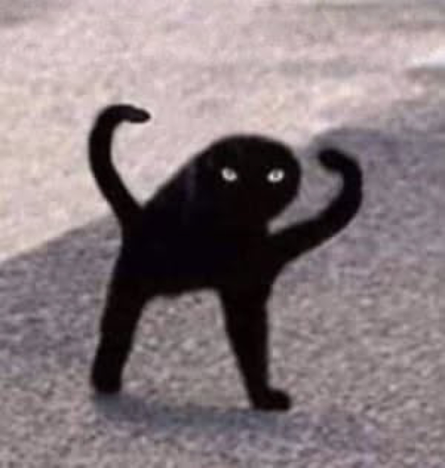 Black cat contorted into a spooky wide-eyed silhouette on the pavement