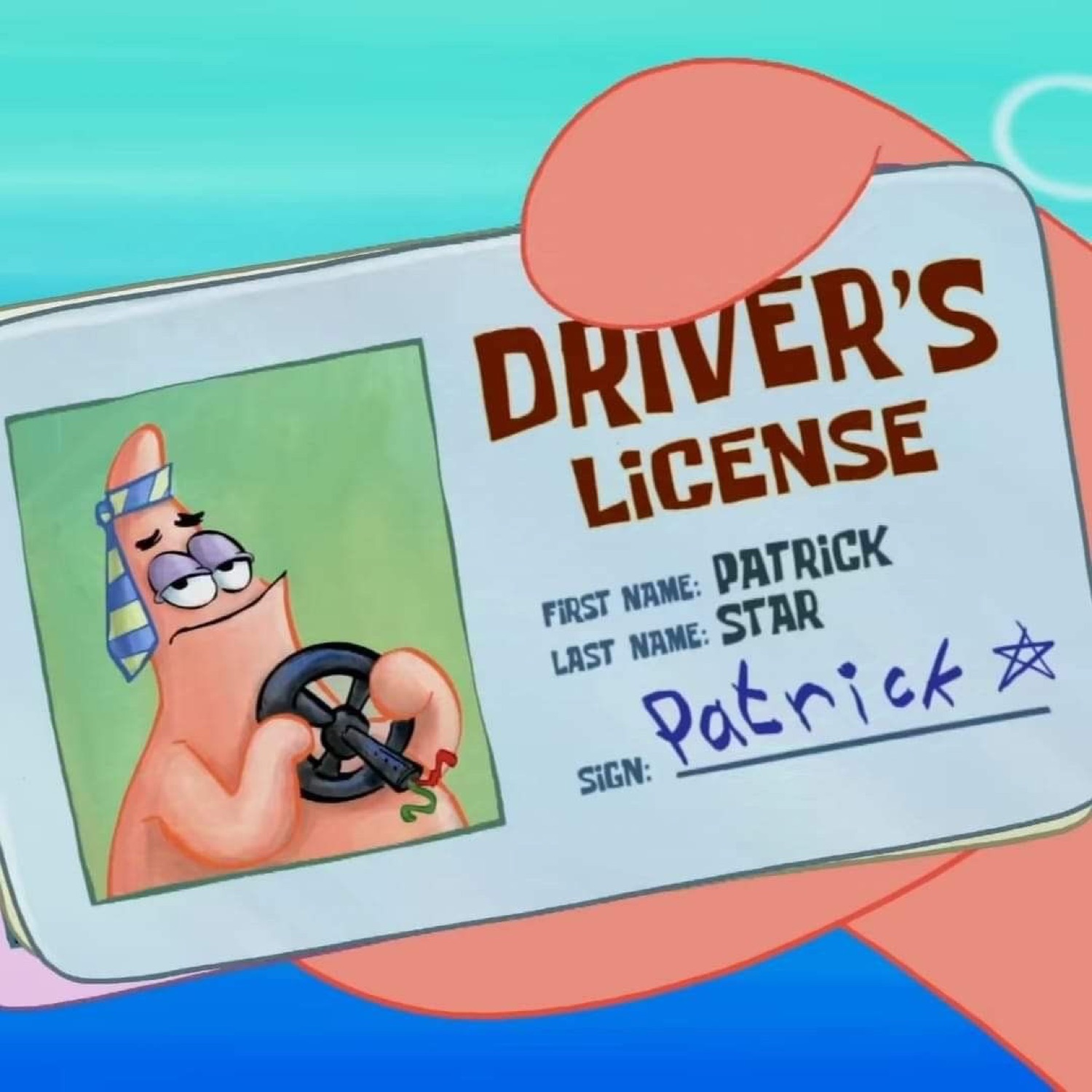 Patrick Star holding up his driver's license