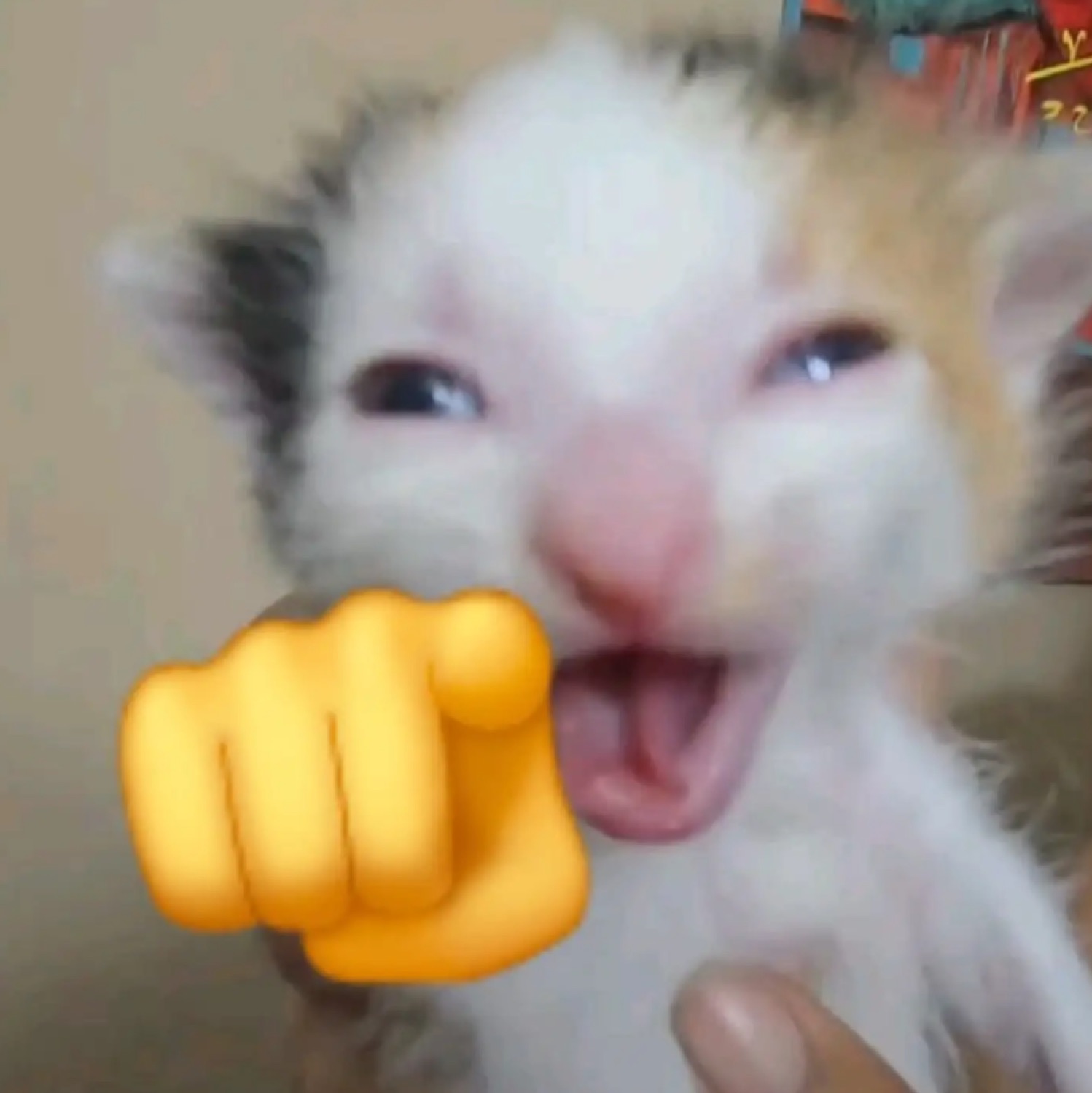 Kitten laughing with a pointing-hand emoji
