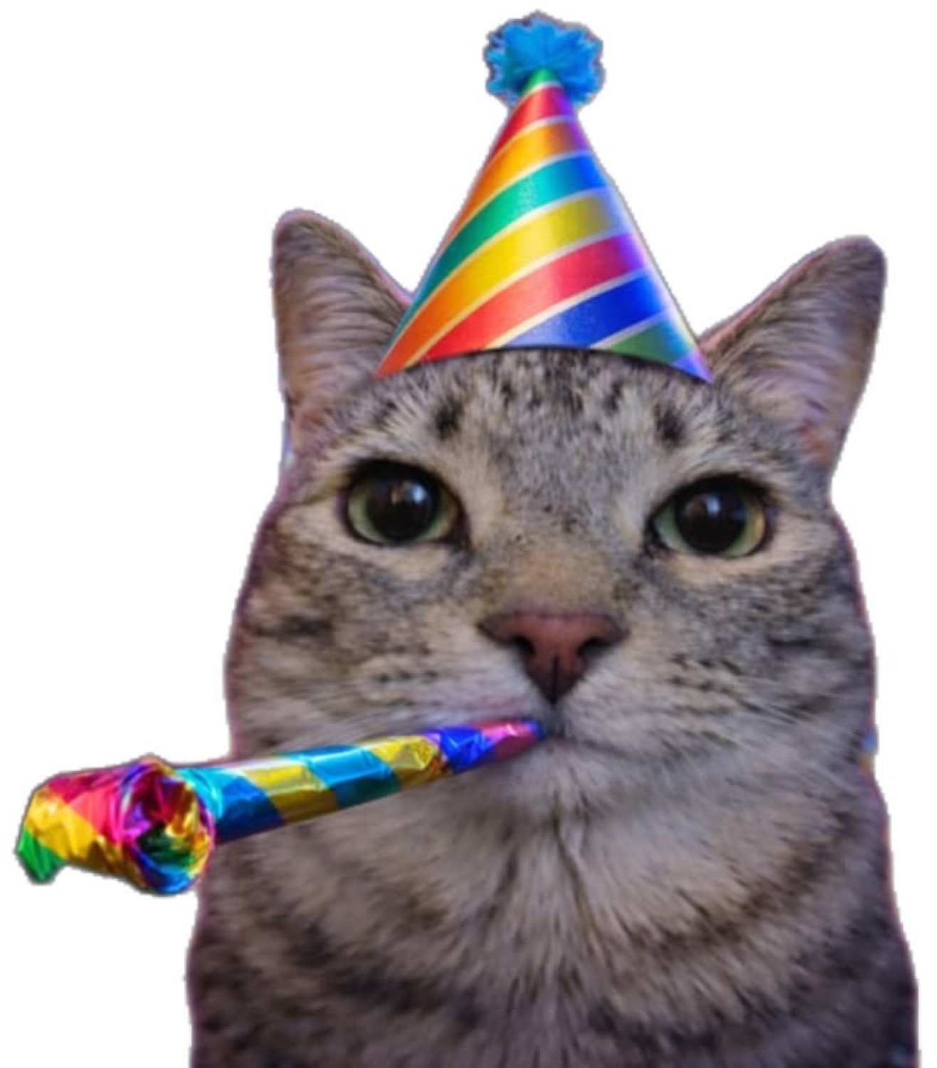 Tabby cat in a rainbow party hat blowing a party horn