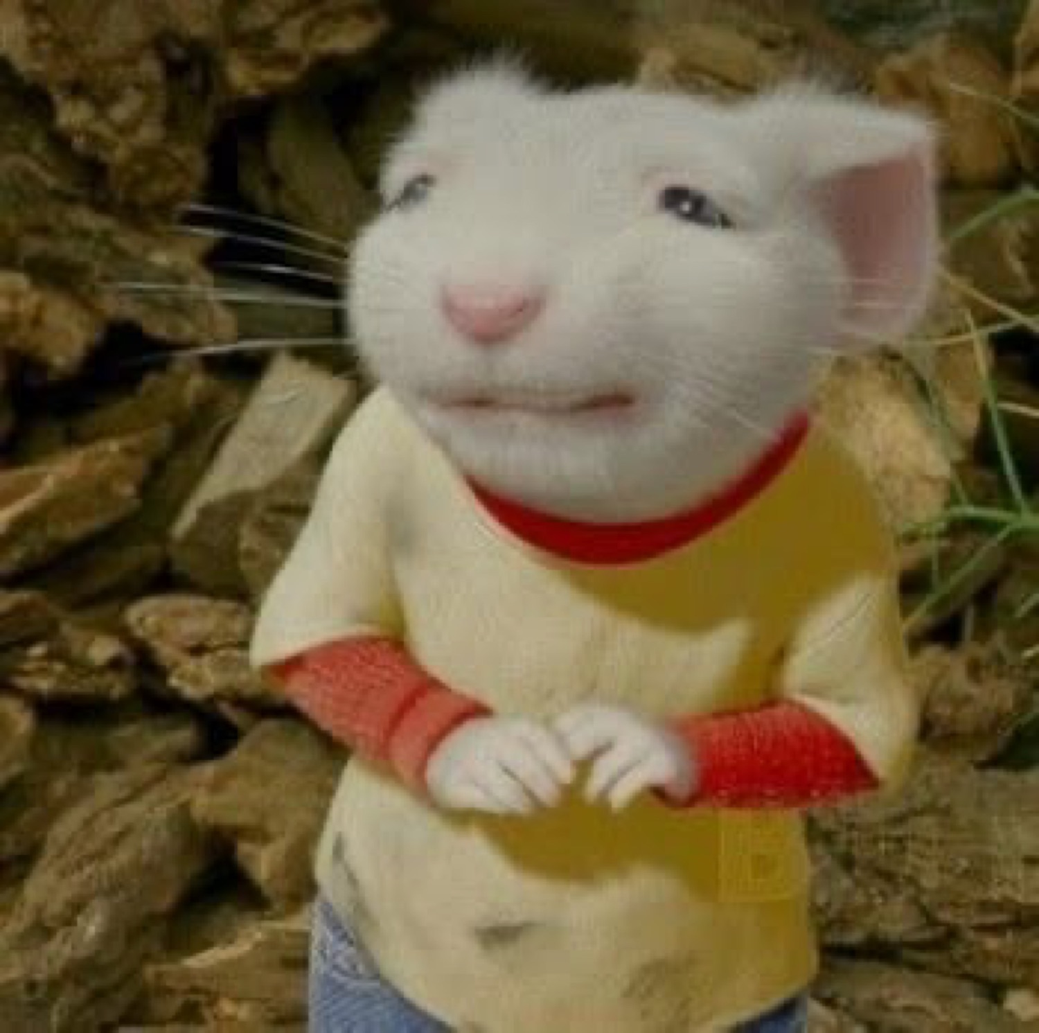 Stuart Little-style CGI mouse in a yellow sweater with a nervous little smile