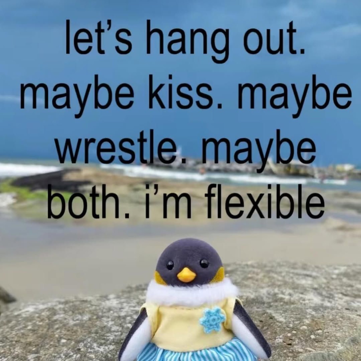 Cute penguin toy on a beach captioned 'let's hang out. maybe kiss. maybe wrestle. maybe both. i'm flexible'