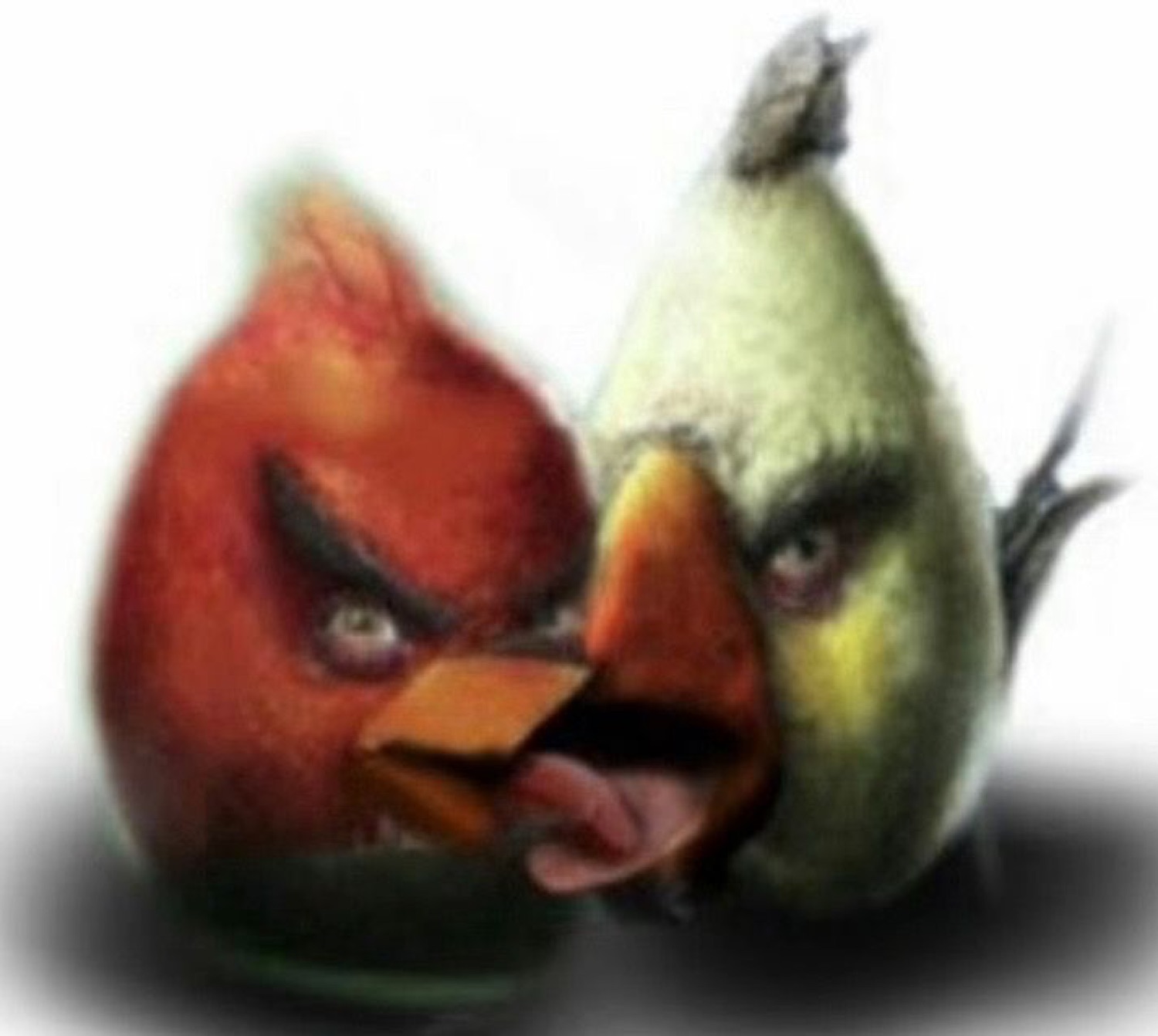 Hyper-realistic Angry Birds Red and Matilda staring down with pure menace
