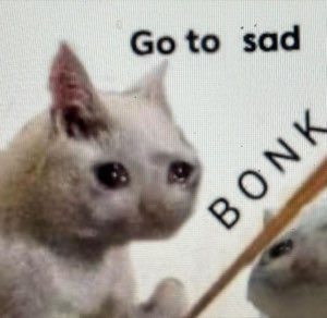Crying cat getting bonked: 'Go to sad'