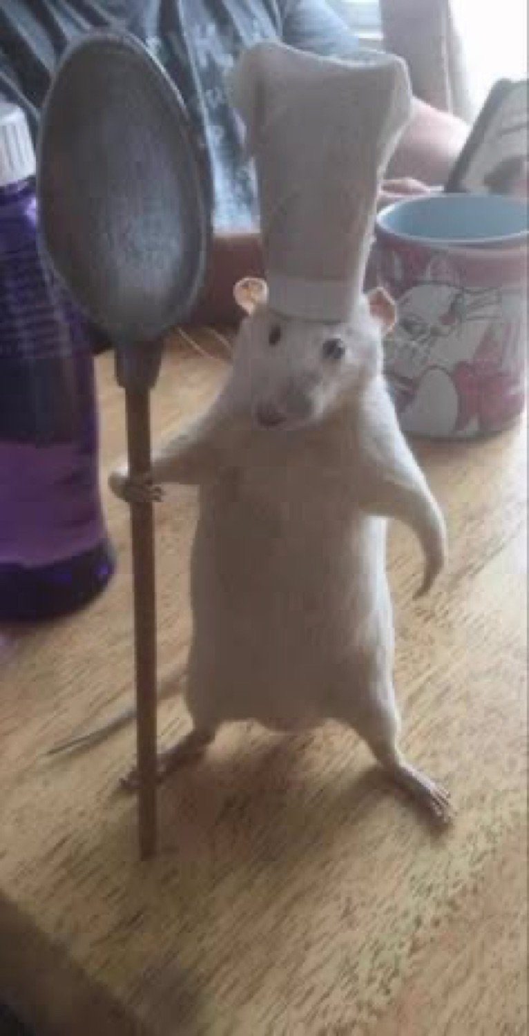 White rat standing upright in a chef's hat holding a tiny pan like it owns the kitchen