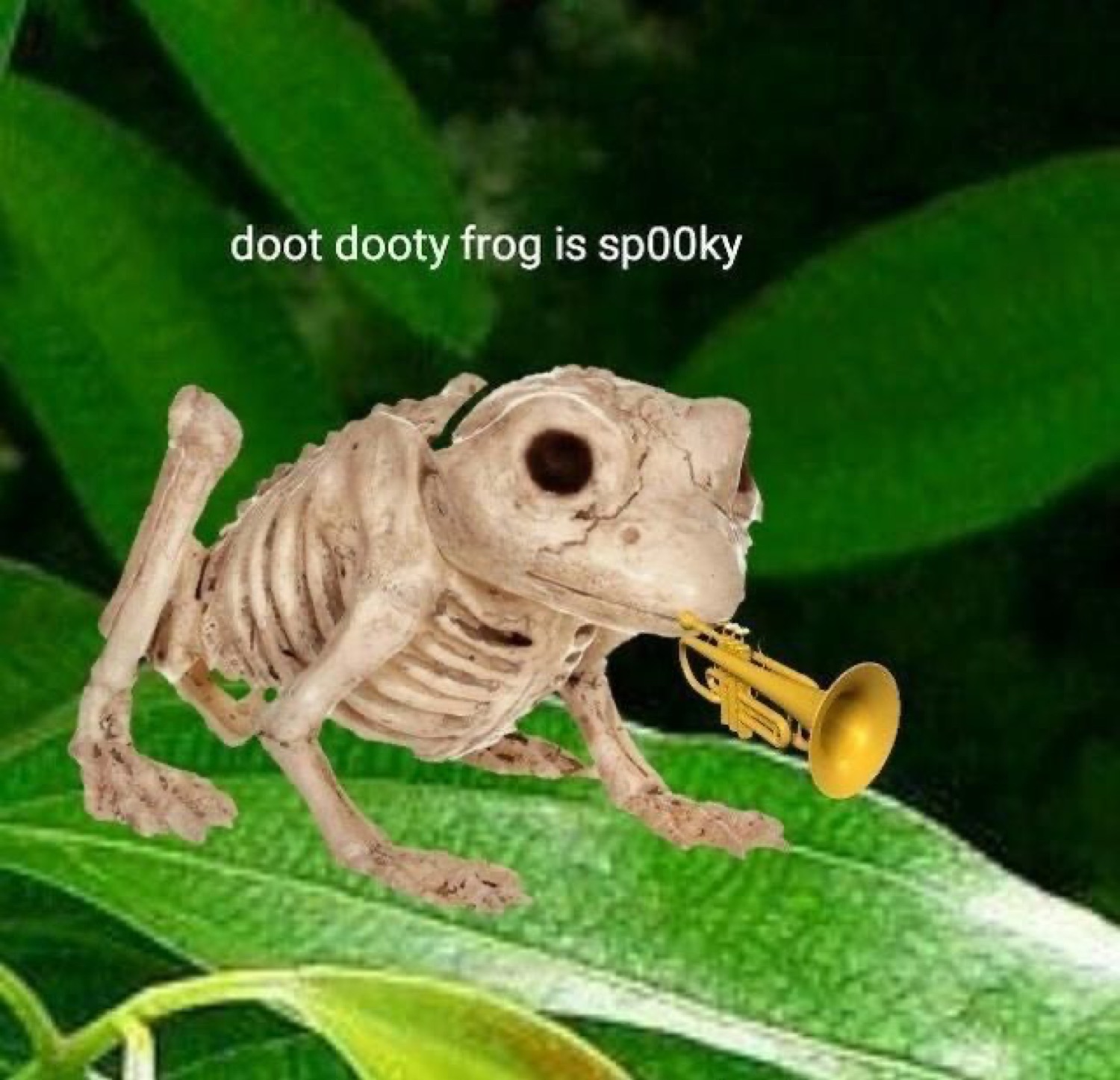 Frog skeleton playing a tiny trumpet on a leaf under 'doot dooty frog is sp00ky'