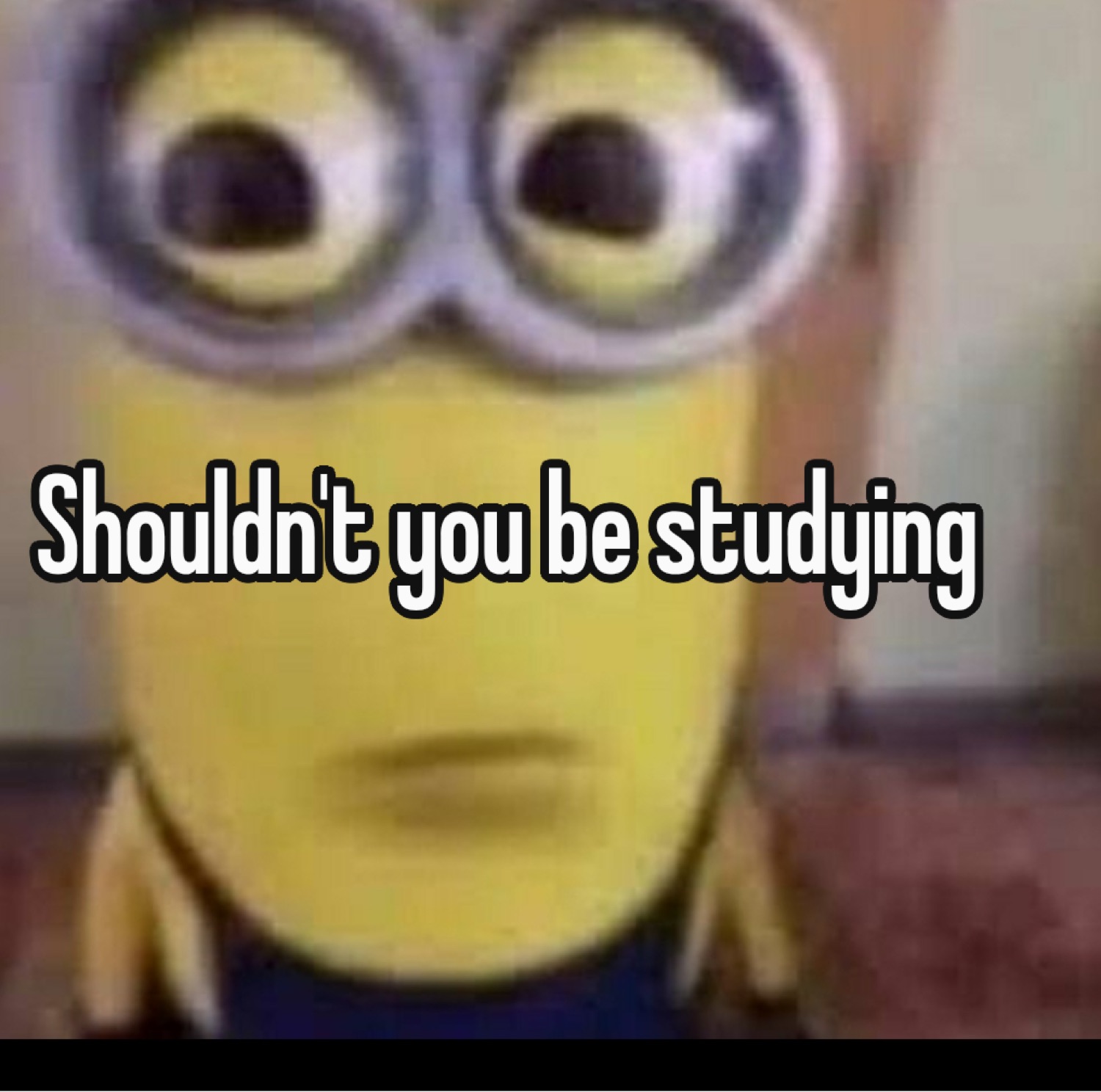 Minion staring blankly: 'Shouldn't you be studying'