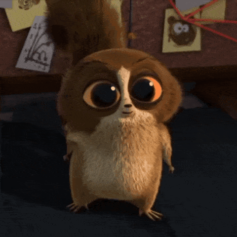 Mort from Madagascar staring with huge orange eyes