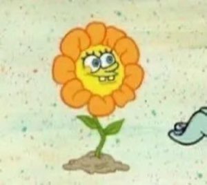 SpongeBob's face photoshopped onto a flower, grinning and side-eyeing from the garden
