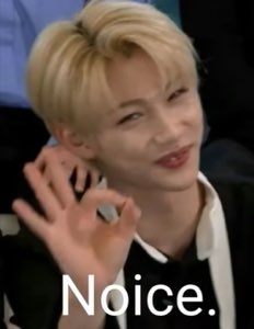 Blonde young man flashing an OK hand sign with a satisfied smirk captioned 'Noice.'