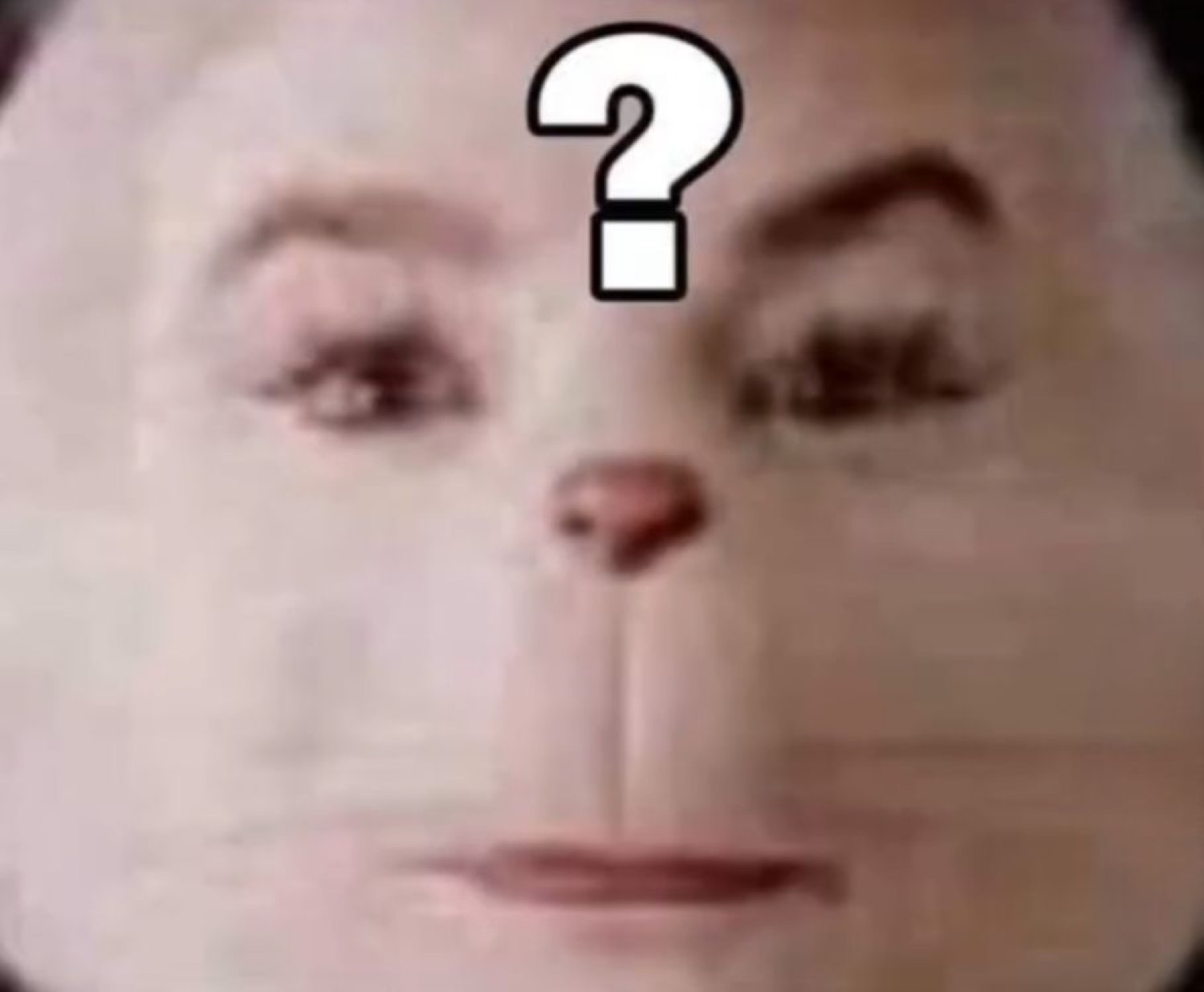 Monkey face edited with human eyebrows and a '?'