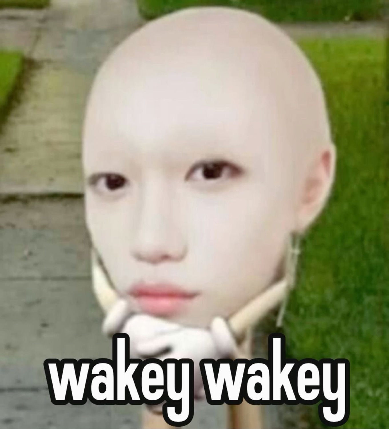 Distorted bald pale face resting on hand with deadpan stare, text 'wakey wakey'