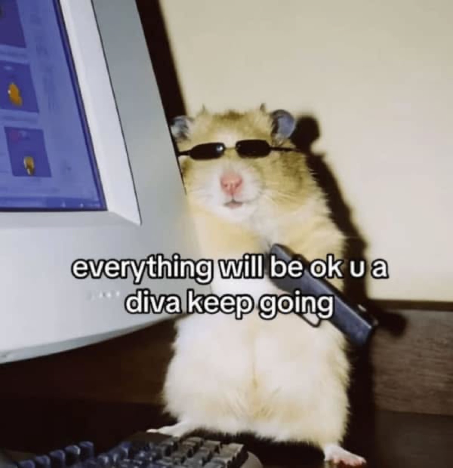 Hamster in tiny sunglasses beside a computer captioned 'everything will be ok u a diva keep going'
