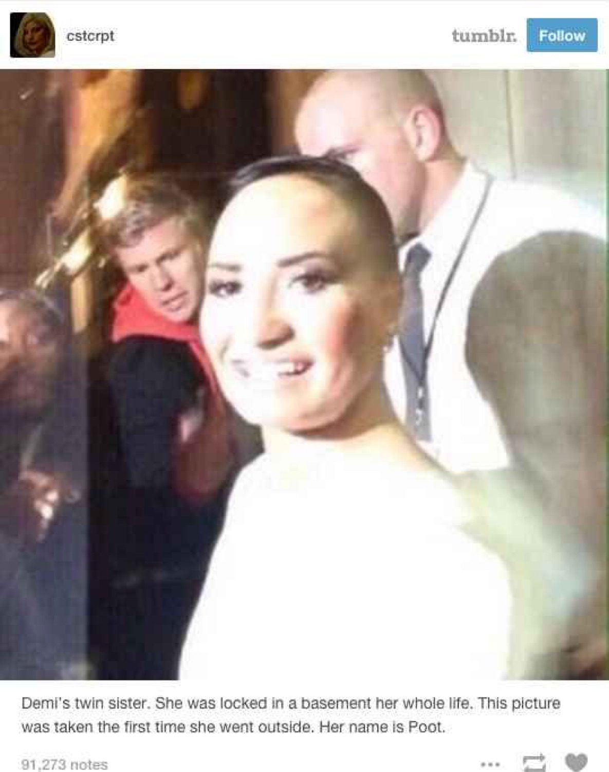 The 'Poot' Tumblr post: a blurry, washed-out Demi Lovato photo with a dazed stare