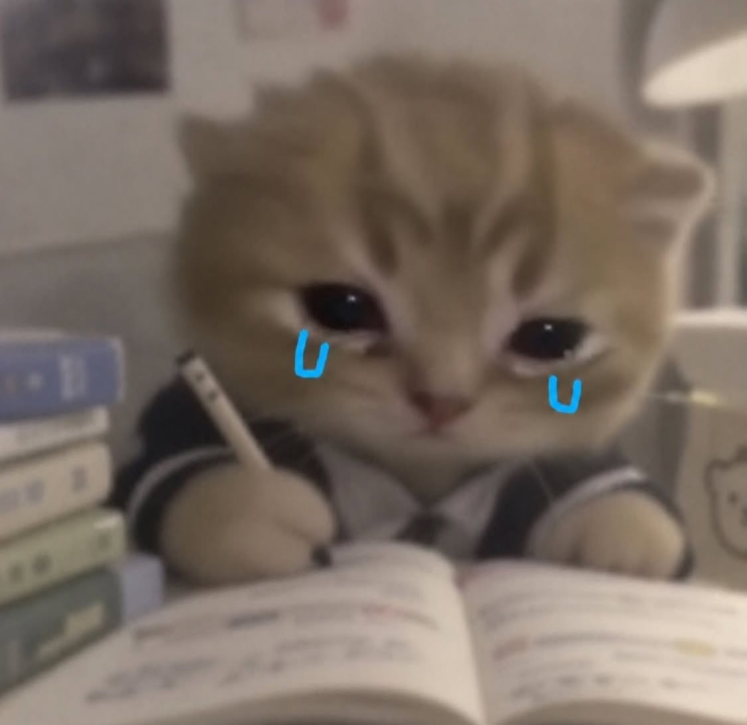 Crying kitten in a school uniform writing in a notebook