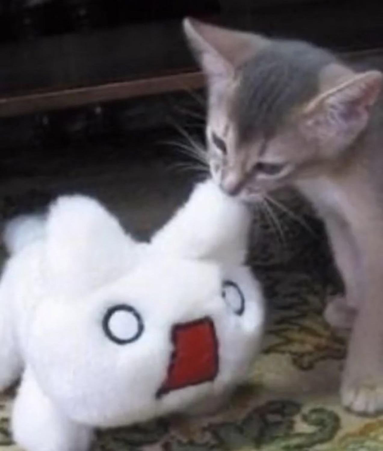 Grey kitten sniffing a white anime plush toy with laser-focused side-eye