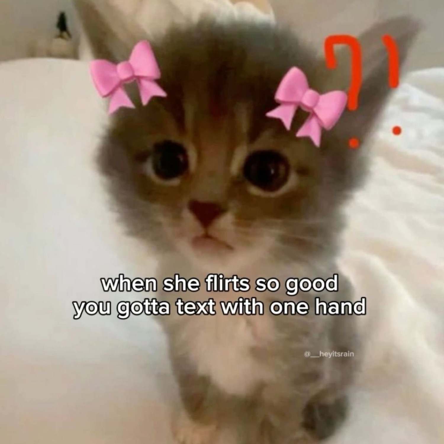 Tiny kitten with pink bows and wide pleading eyes, captioned 'when she flirts so good you gotta text with one hand'