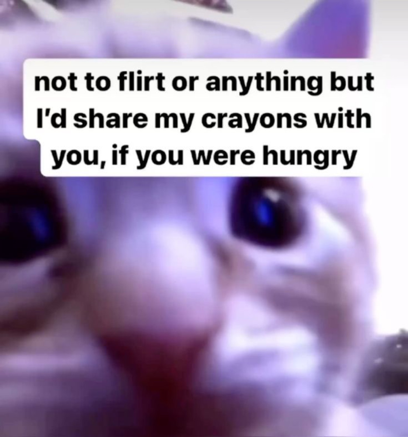Close-up blurry kitten gazing intensely with text 'not to flirt or anything but I'd share my crayons with you, if you were hungry'