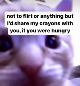 Close-up blurry kitten gazing intensely with text 'not to flirt or anything but I'd share my crayons with you, if you were hungry'