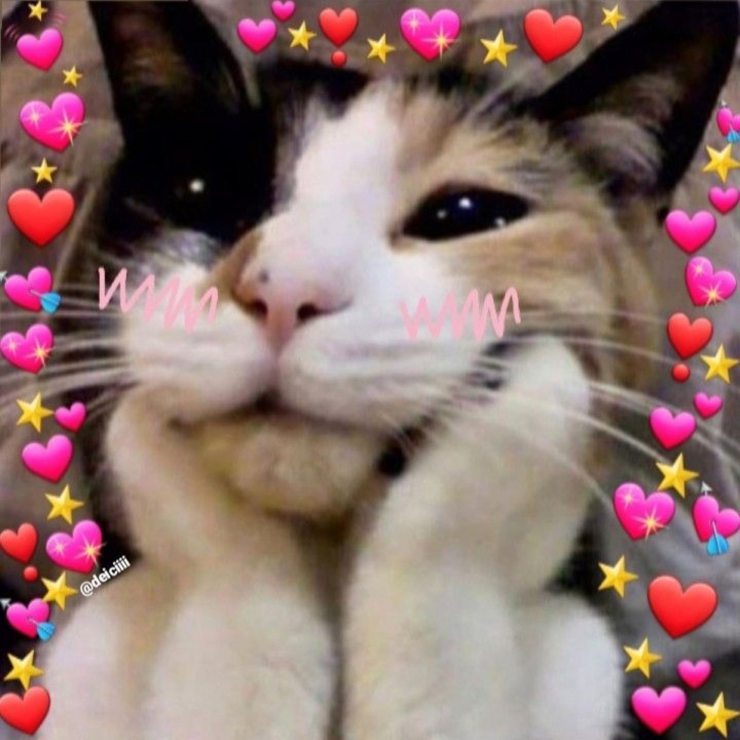 Calico cat resting its chin on its paws with glassy loving eyes, surrounded by pink heart emojis