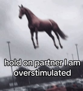 A horse floating mid-air over a parking lot with the caption 'hold on partner I am overstimulated'