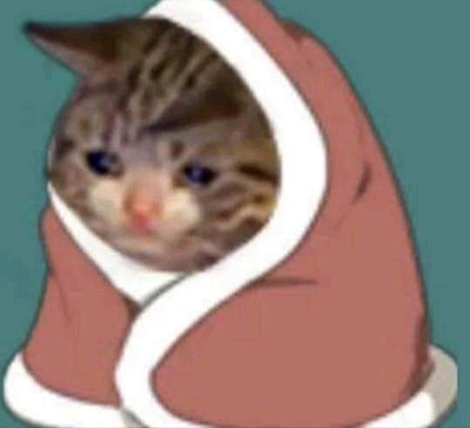 Sad-eyed cat peeking out from a cozy cartoon hood with big blue watery eyes