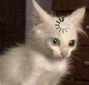Fluffy white kitten with a loading spinner on its forehead, still processing
