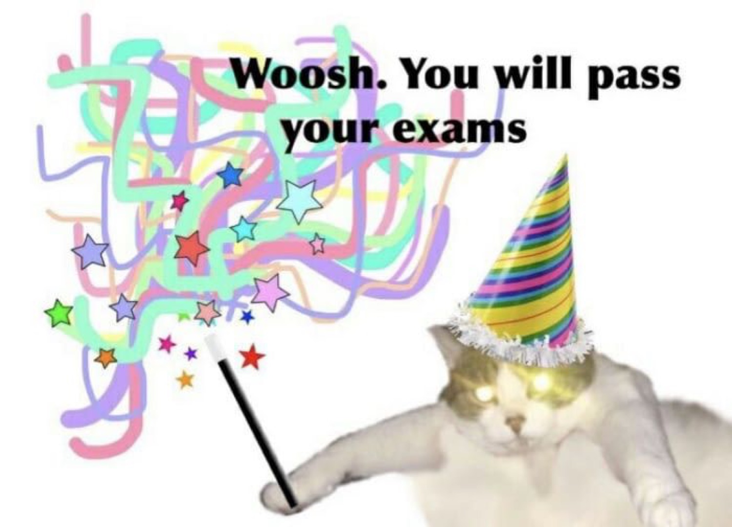 Cat in a party hat waving a magic wand: 'Woosh. You will pass your exams'