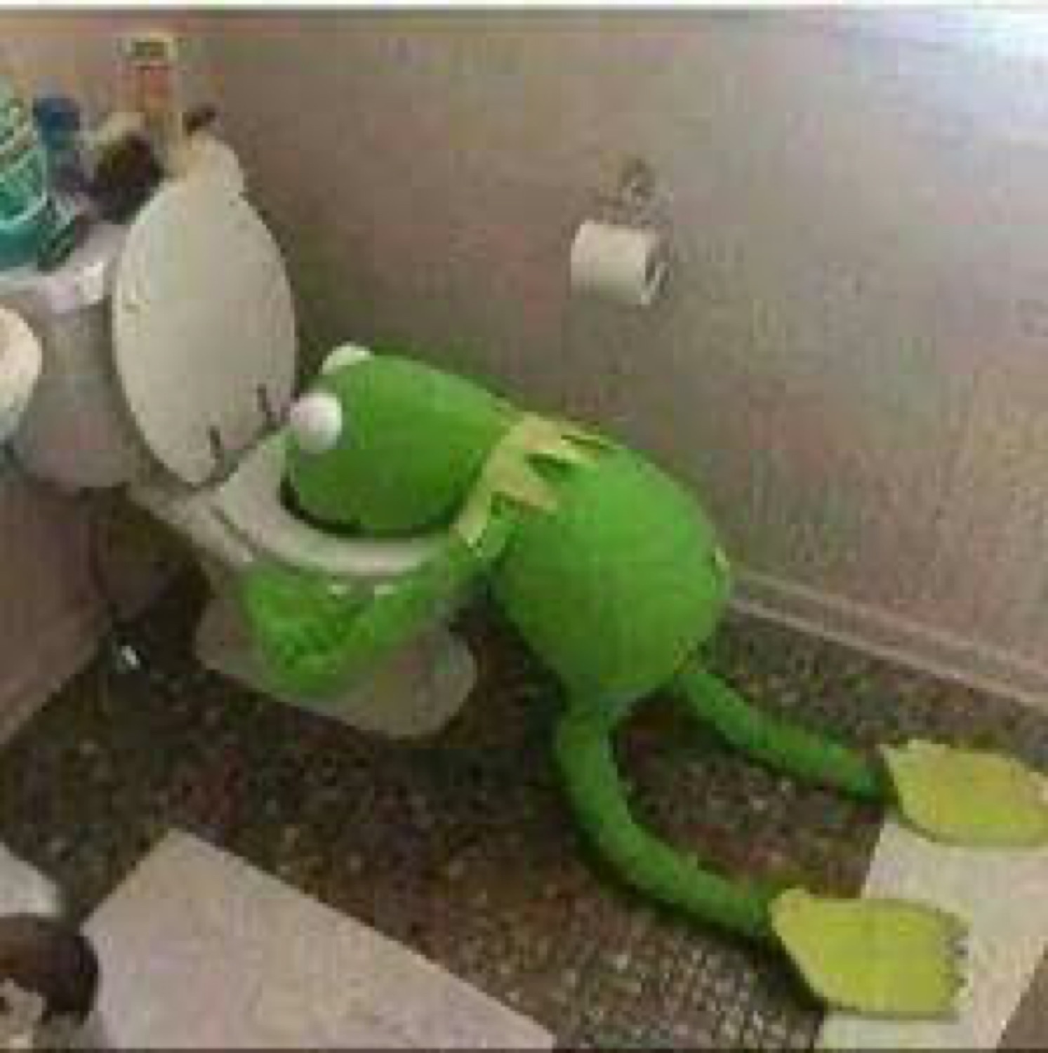 Kermit slumped face-first over a toilet bowl