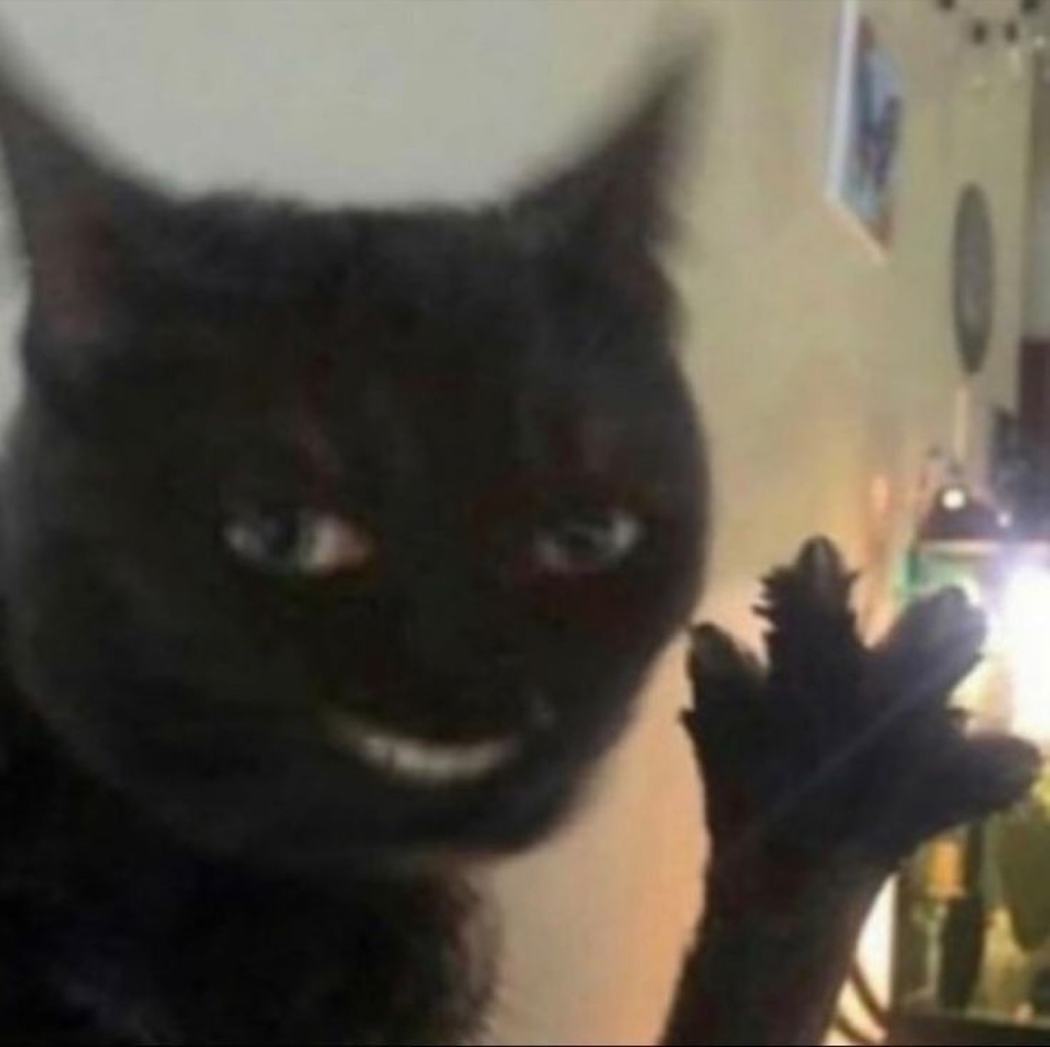 Black cat with a creepy grin raising a paw