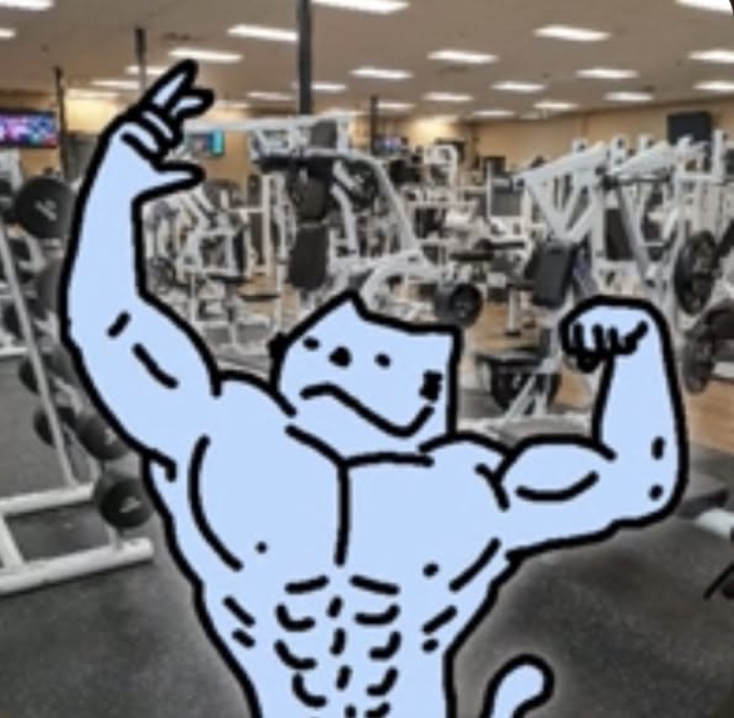 Doodle buff cat flexing in a real gym