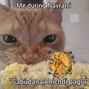 Cat chomping corn: 'Me during Navratri "Sabudana khichdi paglu"'
