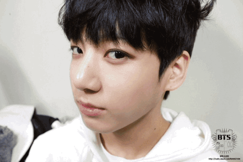 Jungkook from BTS side by side with a dog making the same face