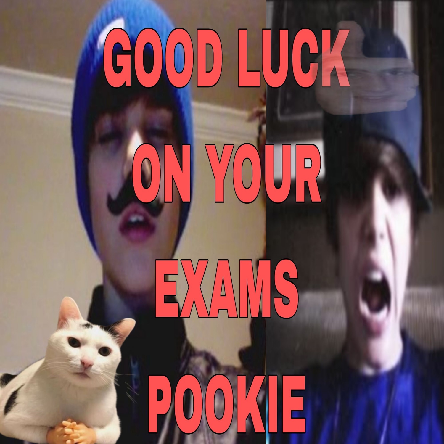 Two guys screaming next to a cat: 'GOOD LUCK ON YOUR EXAMS POOKIE'