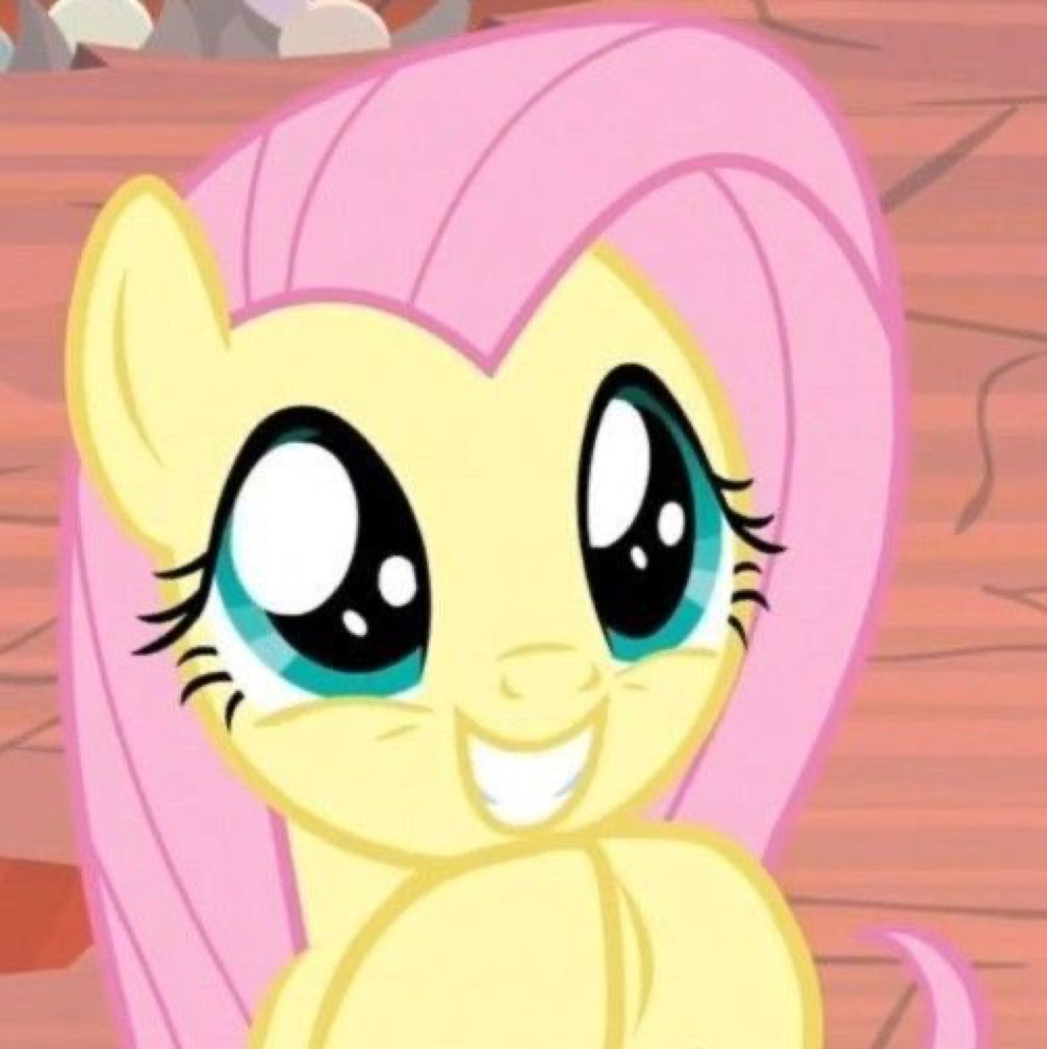 Fluttershy the pony with huge sparkling eyes and a shy little smile
