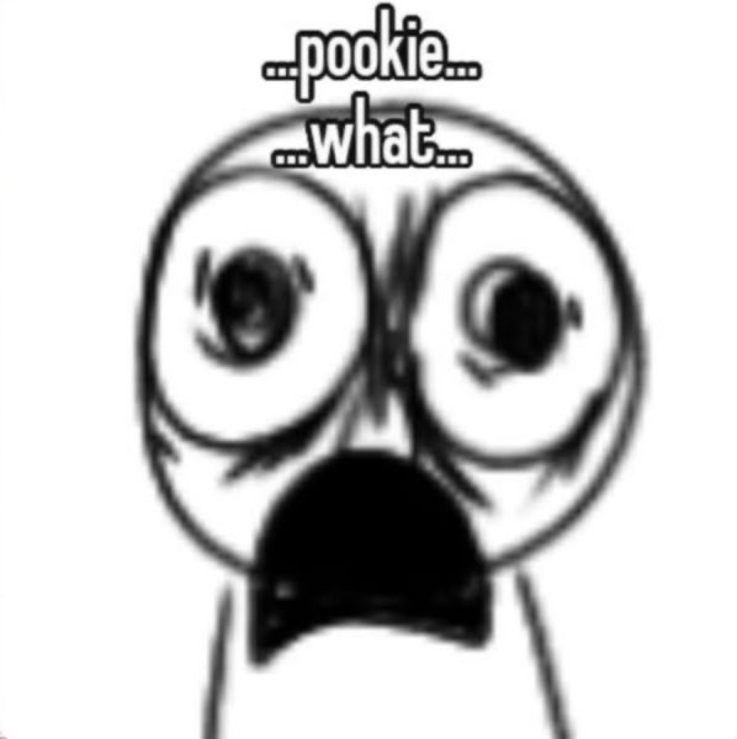 Hand-drawn bug-eyed cartoon face with huge wide eyes captioned '...pookie... ...what...'