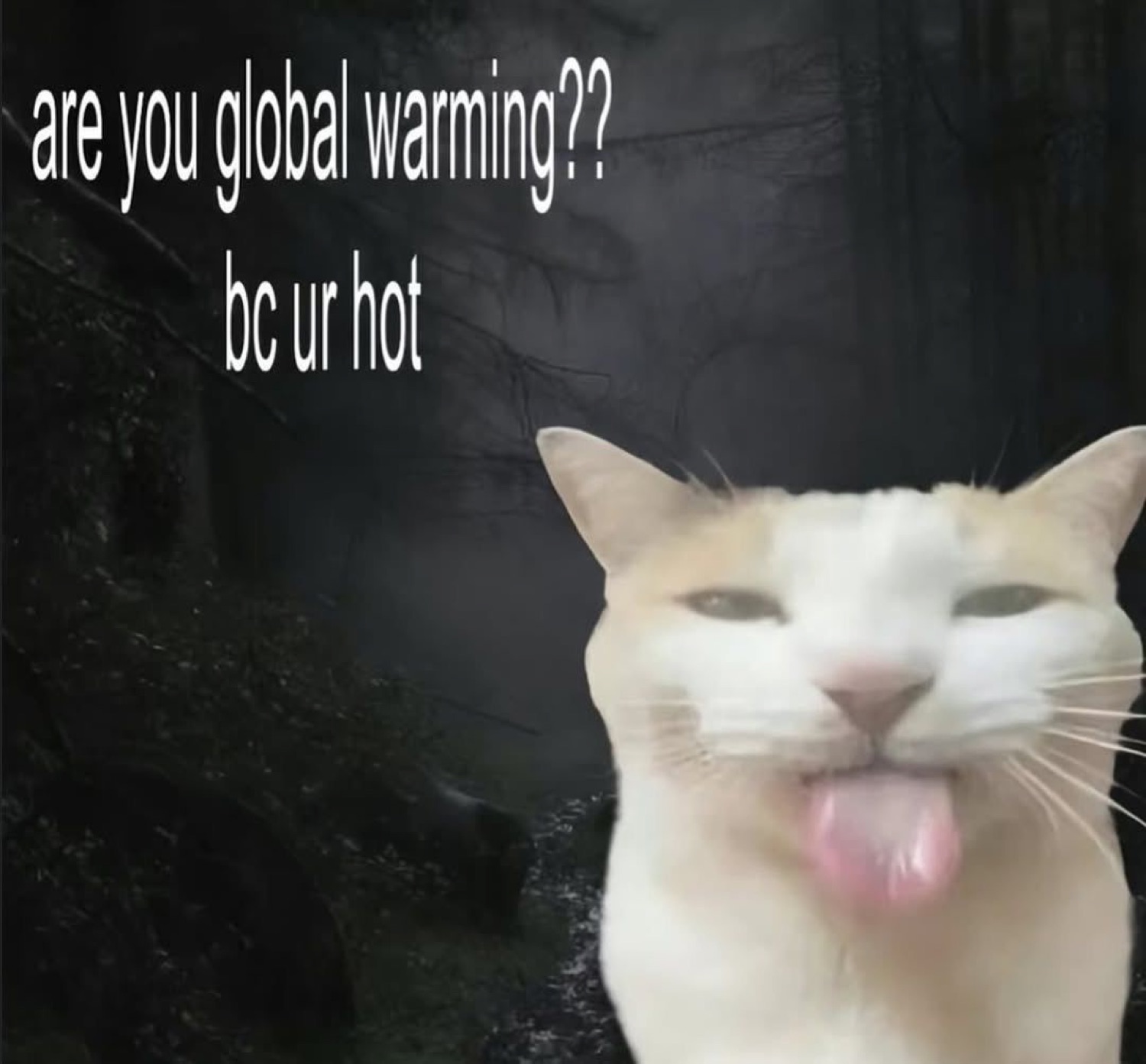 Cat sticking its tongue out captioned 'are you global warming?? bc ur hot'