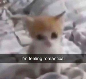 Tiny orange kitten gazing softly at camera with the caption 'I'm feeling romantical'