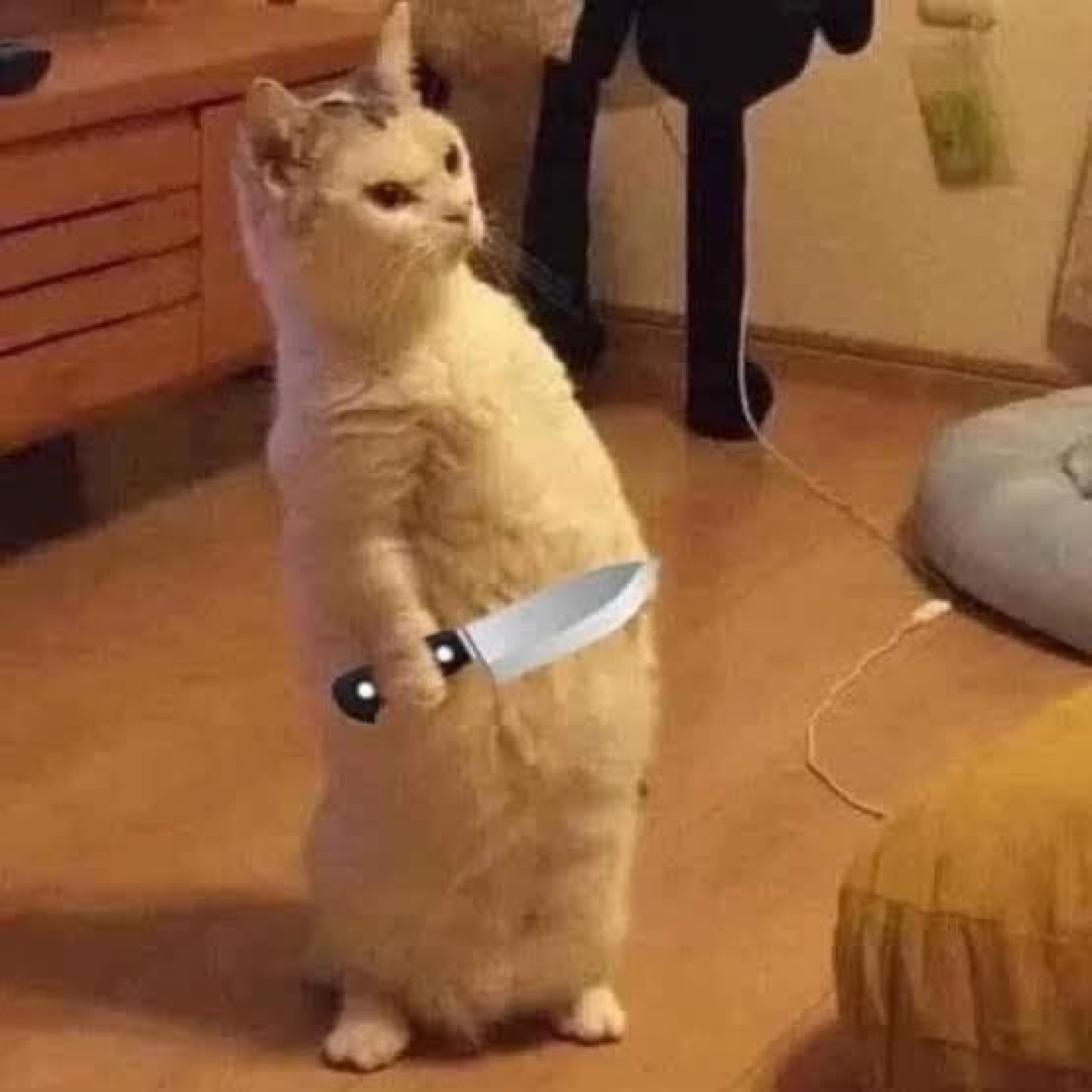 Cream-colored cat standing upright on hind legs holding a photoshopped knife with a menacing stare