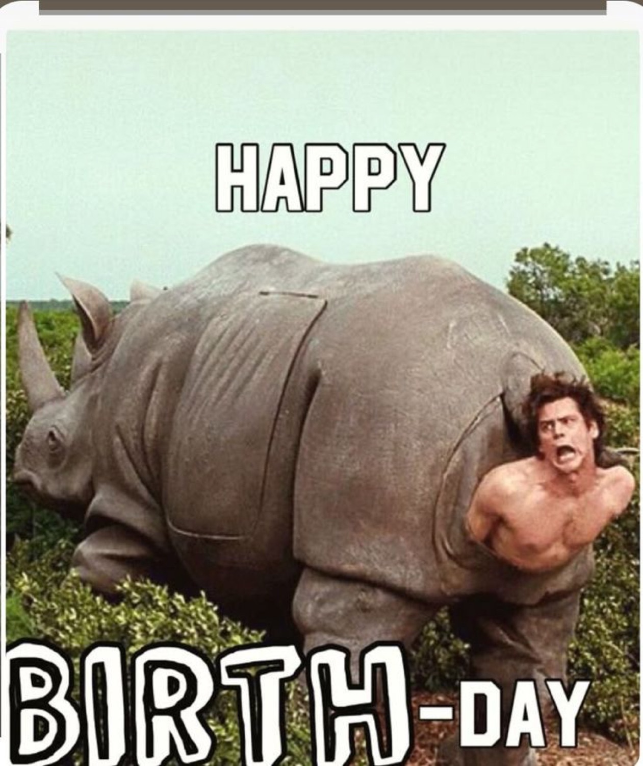 Ace Ventura climbing out of a rhino's backside: 'HAPPY BIRTH-DAY'
