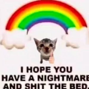 Smiling cat giving a thumbs up under a rainbow with a hilariously mean message below