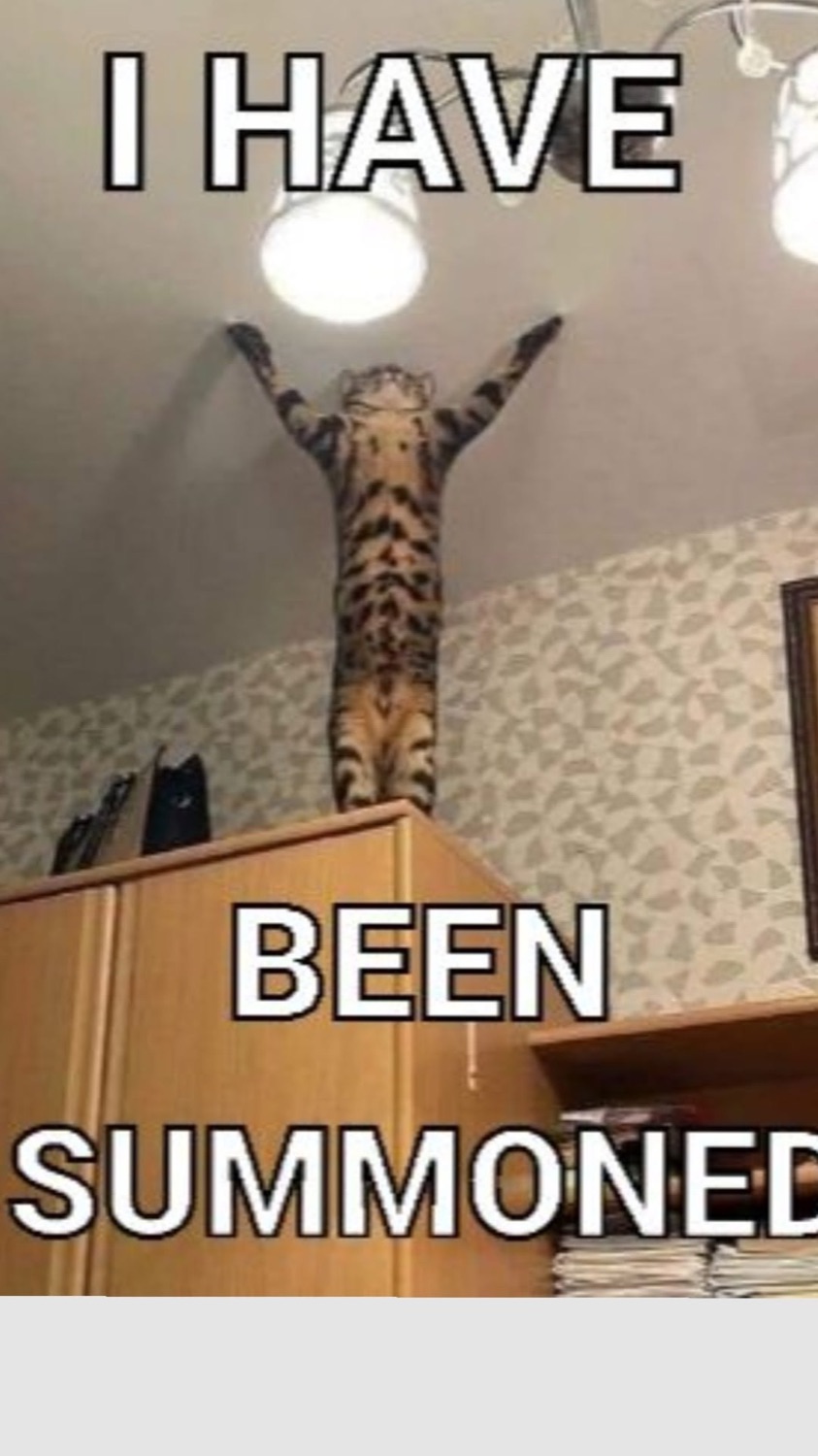 Cat reaching up to a ceiling light captioned 'I have been summoned'