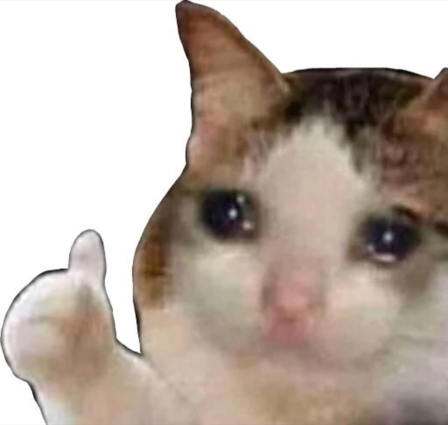Crying cat with watery eyes giving a thumbs up