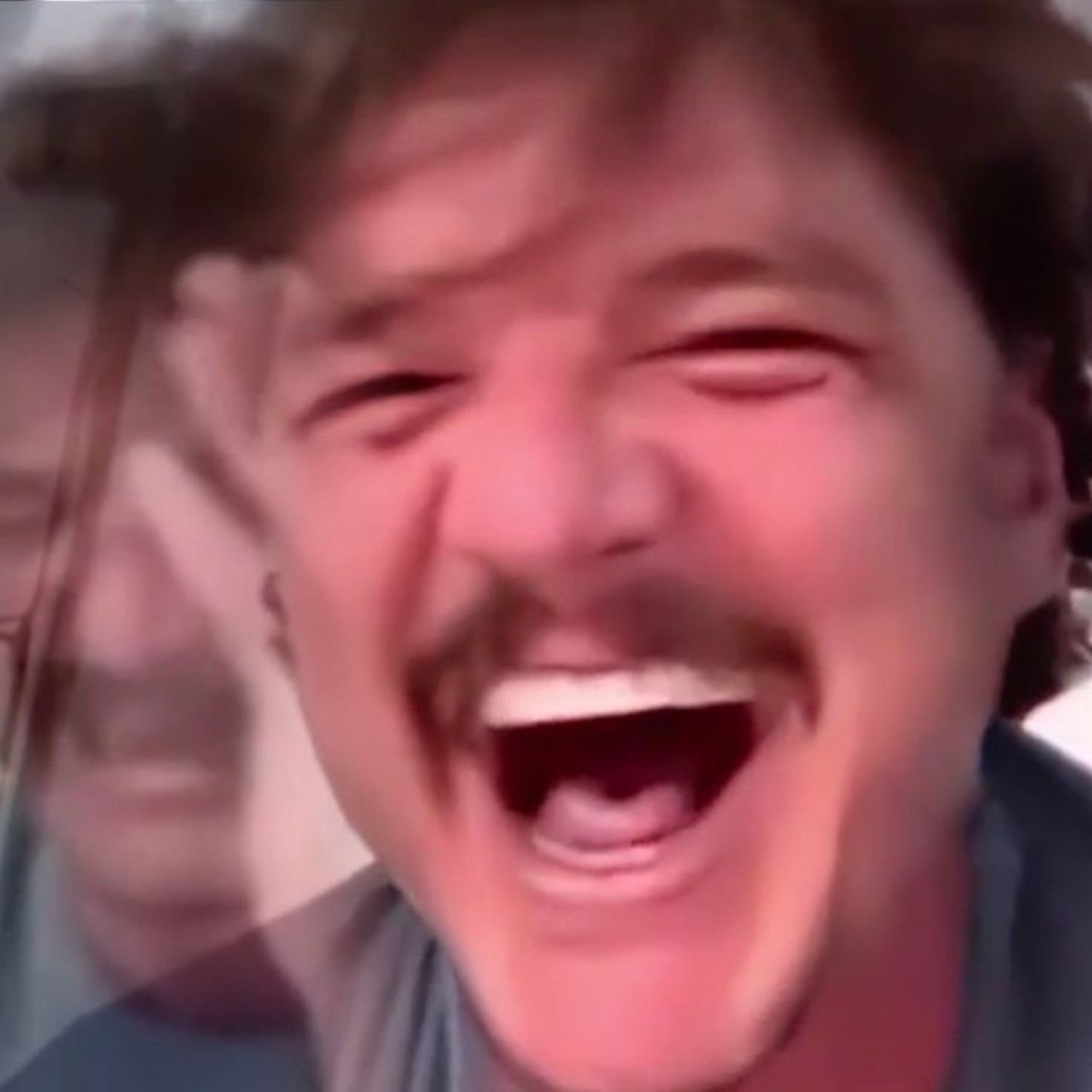 Pedro Pascal laughing uncontrollably with eyes shut, barely keeping it together