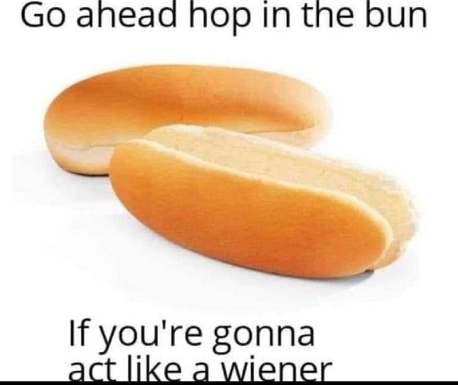 Two empty hot dog buns captioned 'Go ahead hop in the bun if you're gonna act like a wiener'