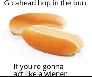 Two empty hot dog buns captioned 'Go ahead hop in the bun if you're gonna act like a wiener'